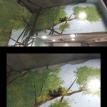 Mural en interior